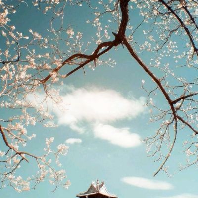 ku娱乐官网登录截图